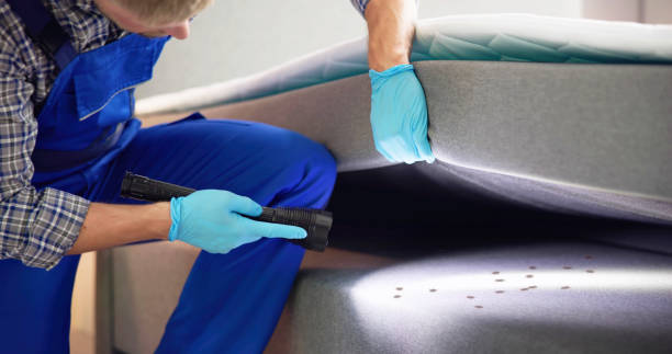 Best Affordable Pest Control Services  in West End Cobb Town, AL