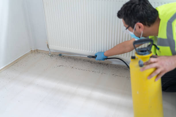 Best Pest Prevention Services  in West End Cobb Town, AL