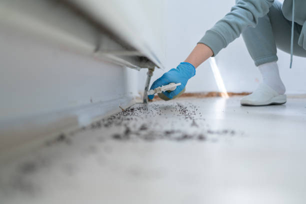 Best Cockroach Control Services  in West End Cobb Town, AL